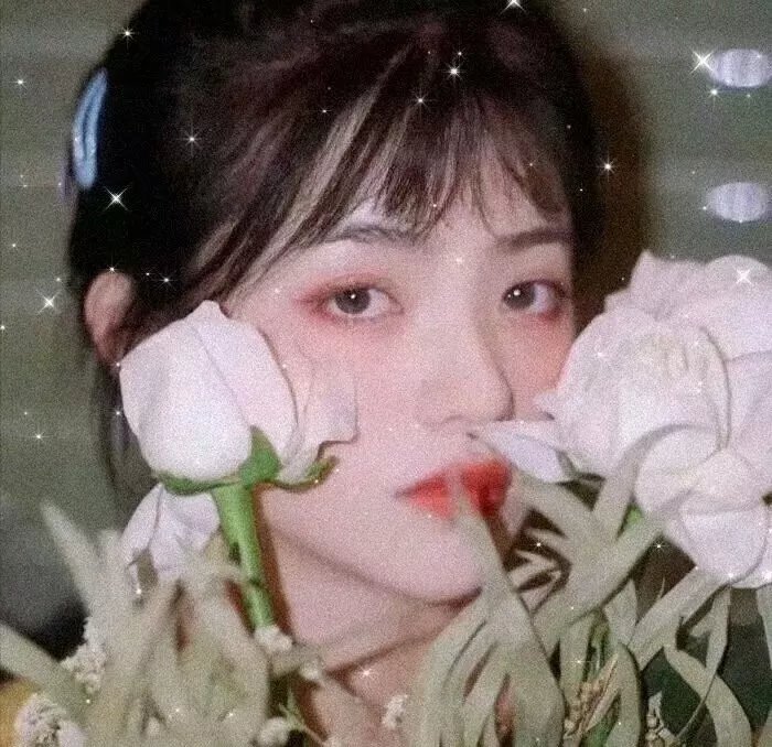 风尘艳侣 在线观看